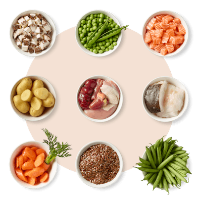 Un bol de nos ingrédients : légumes, protéines, céréales, vitamines et minéraux