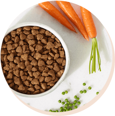 Kibble is king, it’s everything your dog needs
