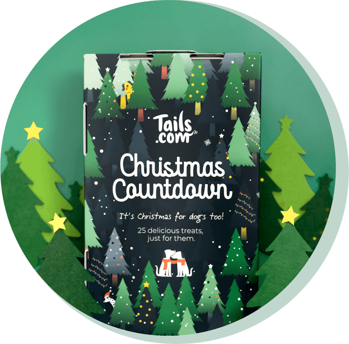 Christmas countdown advent calendar