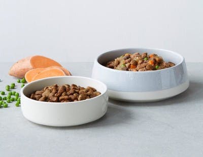 bowls of tails.com tailor-made dry and wet dog food