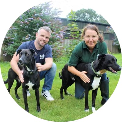 Tierarzt Sean beim Volunteering mit zwei Hunden