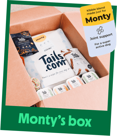 Monty's tails.com box of kibble, wet food and treats