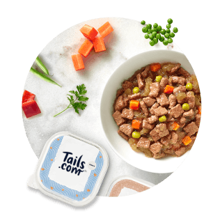 
                        
                            tails.com wet food
                        