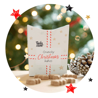 Crunchy Christmas Bakes
