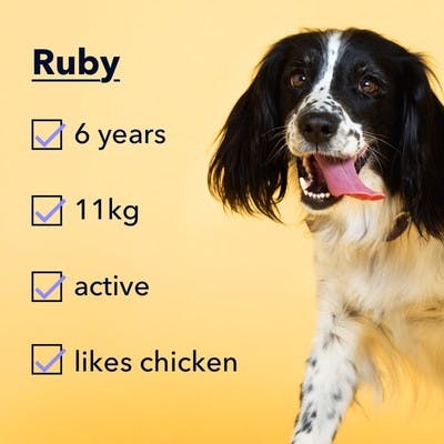 A happy dog called Ruby
