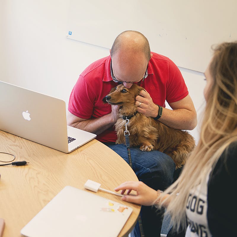 One of our team holding an office dog