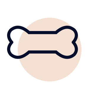 icon of bone
