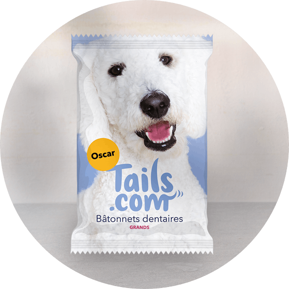 Bâtonnets dentaires