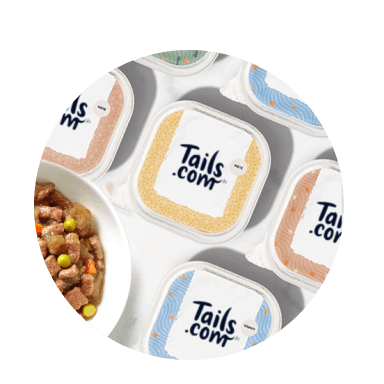 tails.com wet food trays