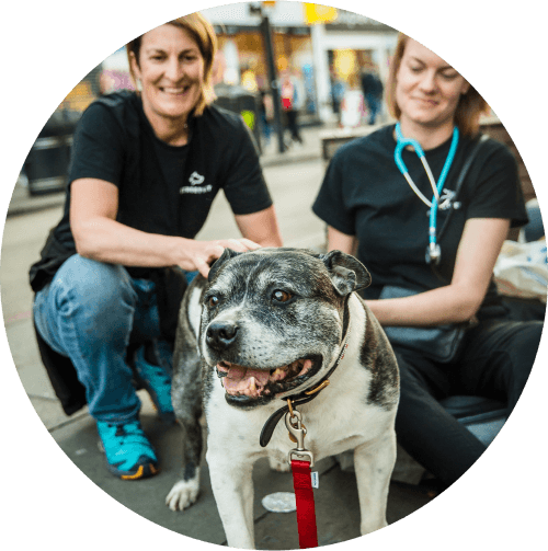 What the StreetVet team offer