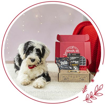 Dog with Christmas box