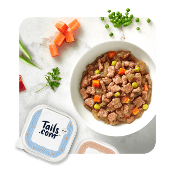 
                        
                            Wet food recipes
                        