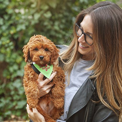 Lucy hält ihren Cavapoo Welpen, Dylan