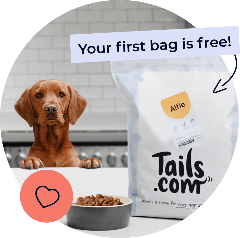 Alfie and his tails.com kibble bag