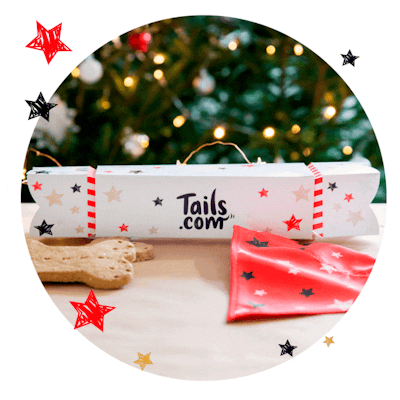 Christmas Treats Cracker