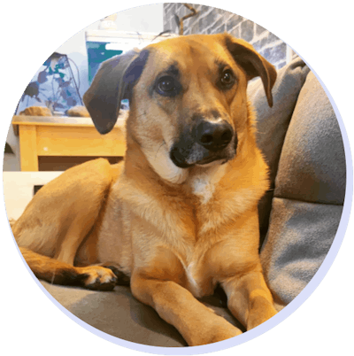 Apollo auf dem Sofa