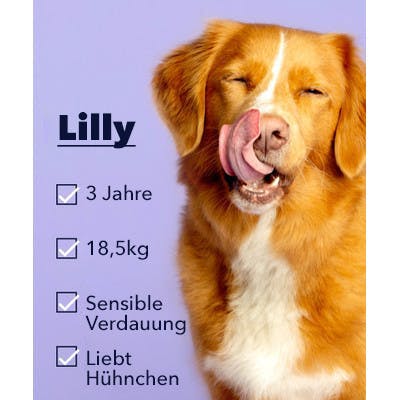 Hund leckt die Lippen signup