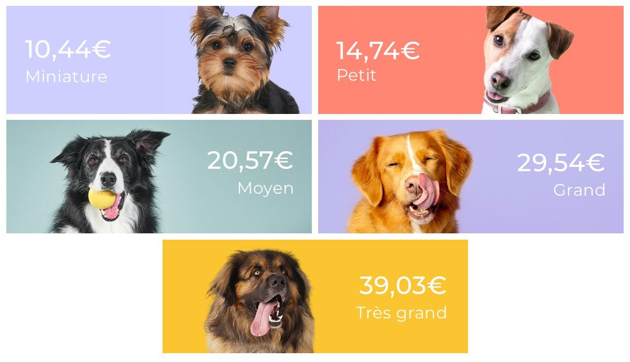 price per dog size for tails.com dog food