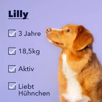 Staffordshire Bull Terrier
