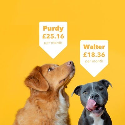 Purdy & Walter