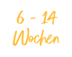 Bild mit dem Text "6-14 Wochen"