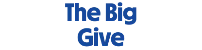 
                            The Big Give icon
