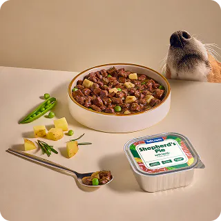 Wet food with ingredients