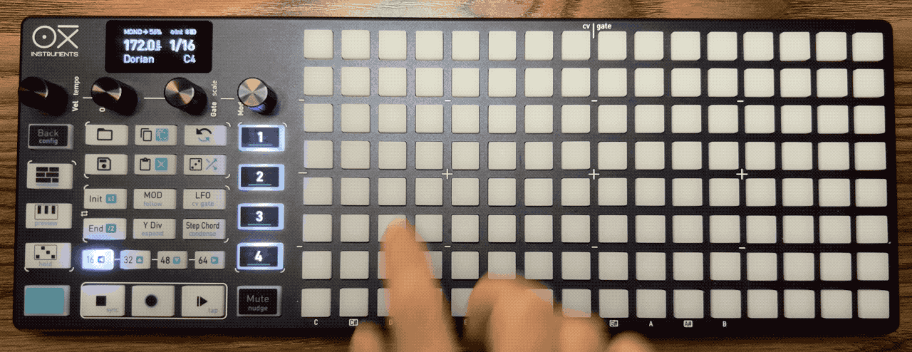 いくつかpadをクリックし、Undo/Redoを繰り返している様子