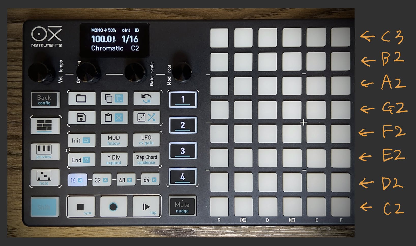 OXI ONE上に音階が図示されている様子 Major C