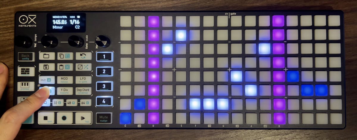 3ステップ目と12ステップ目が紫色になっている様子