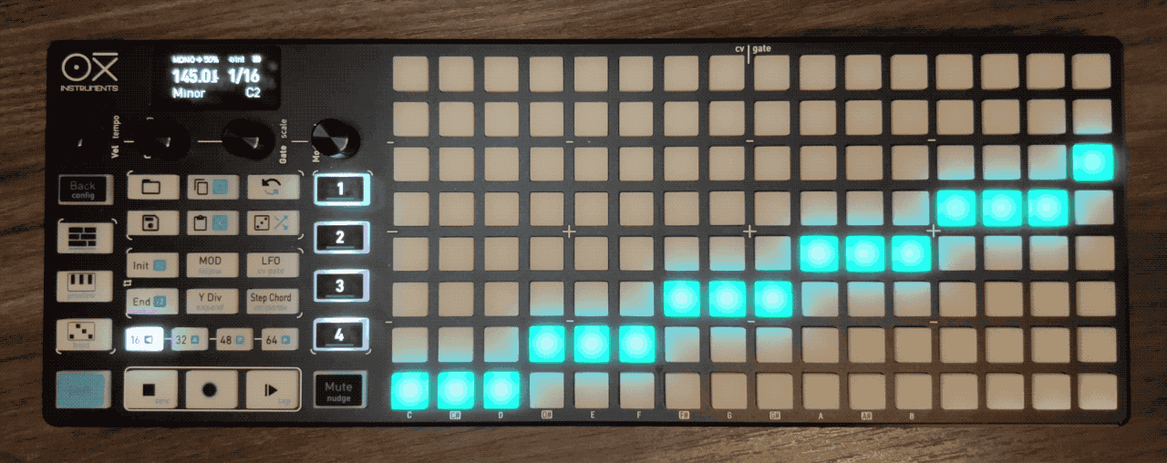 アニメーションgif: Endを2ページ目の最後に設定している様子