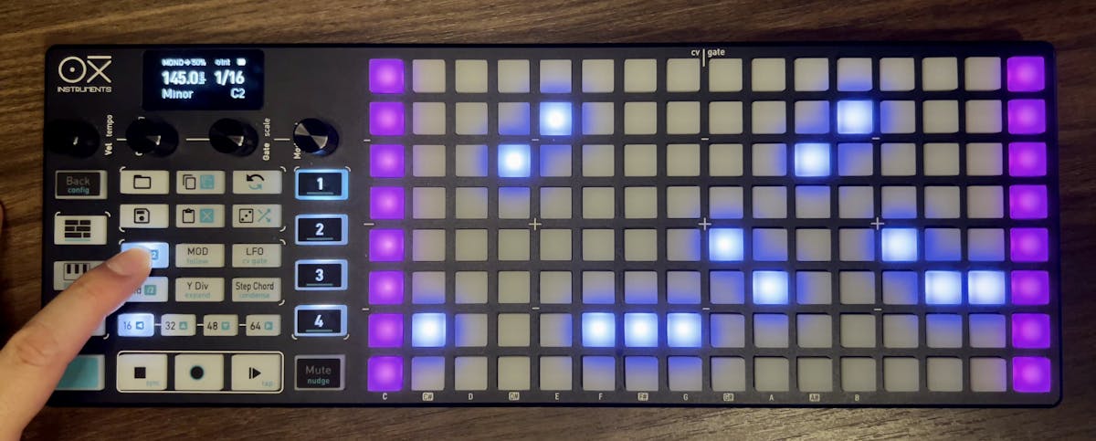 1ステップ目と16ステップ目が紫色になっている様子