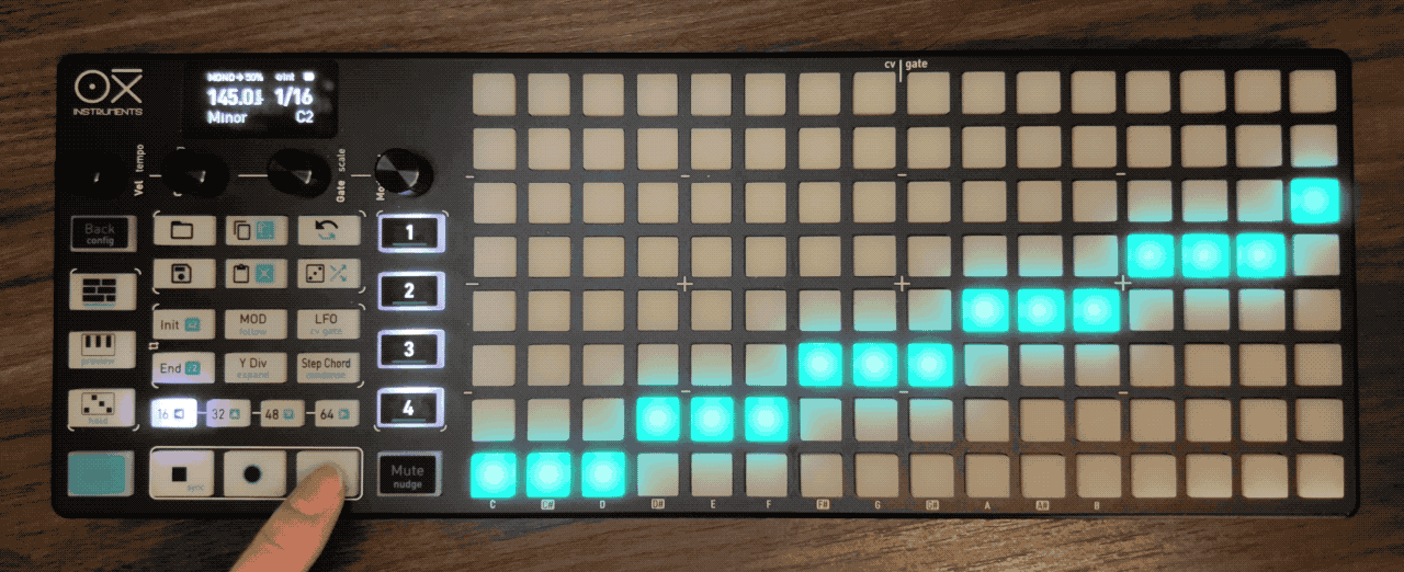 アニメーションgif: 再生させた様子