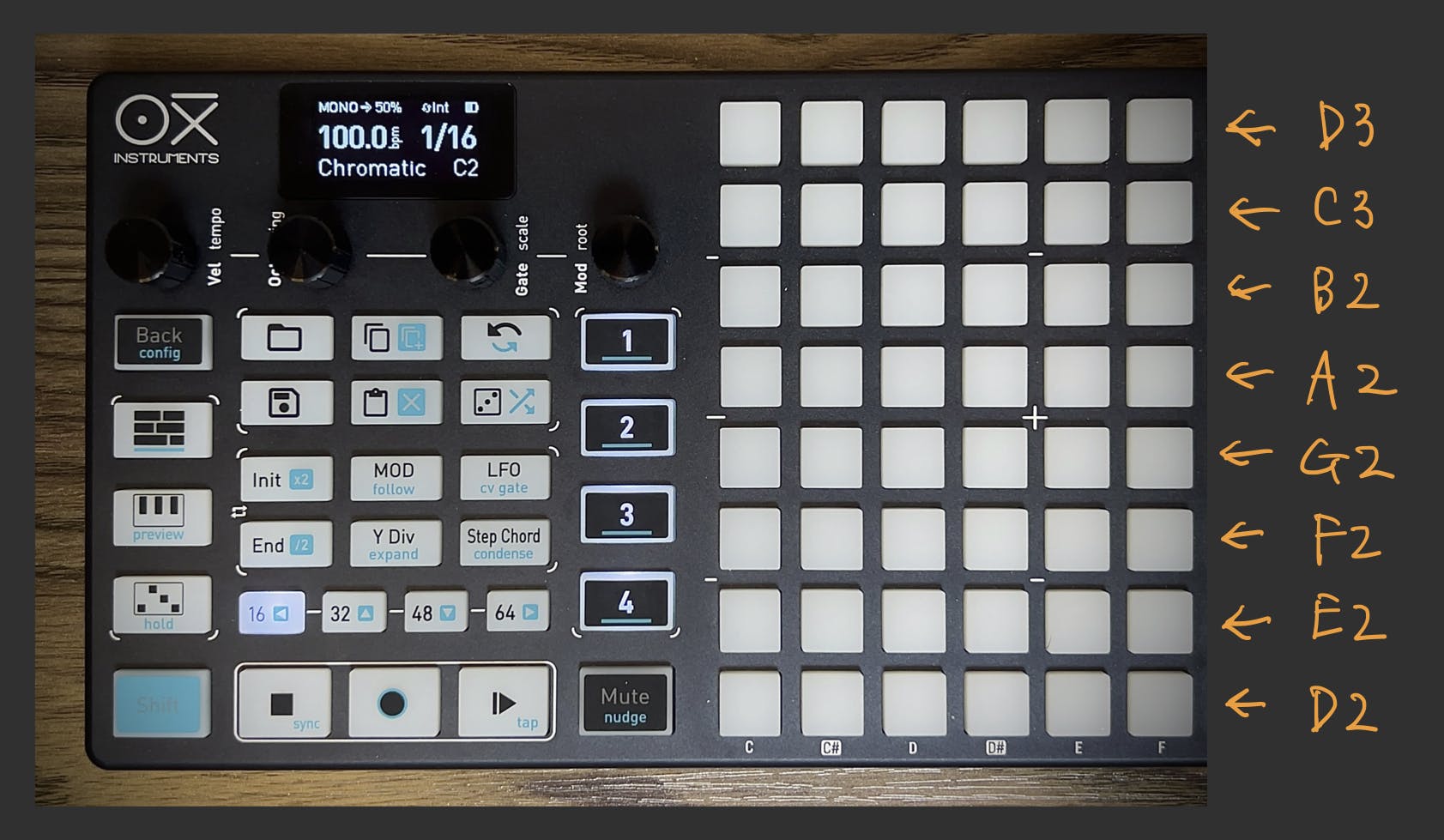 OXI ONE上に音階が図示されている様子 Dorian D2