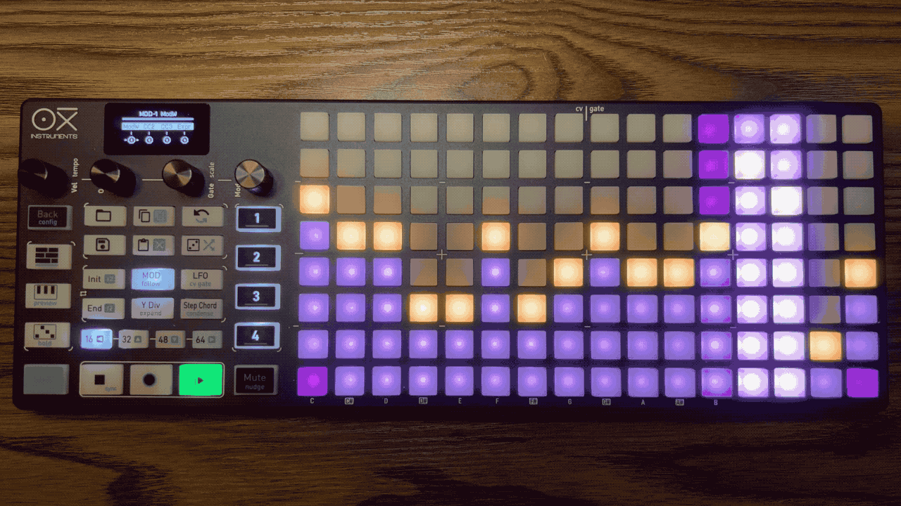 Modulation Laneの動画
