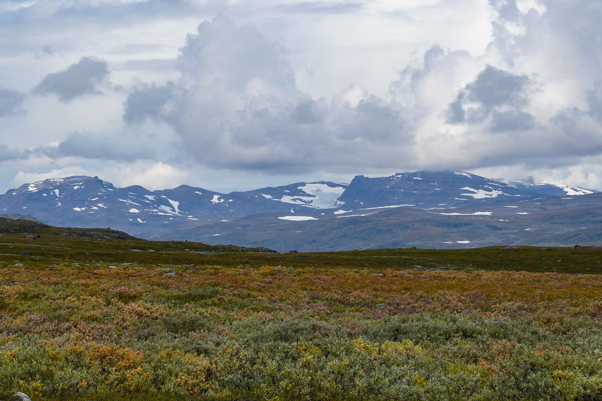 Hiking in Kungsleden