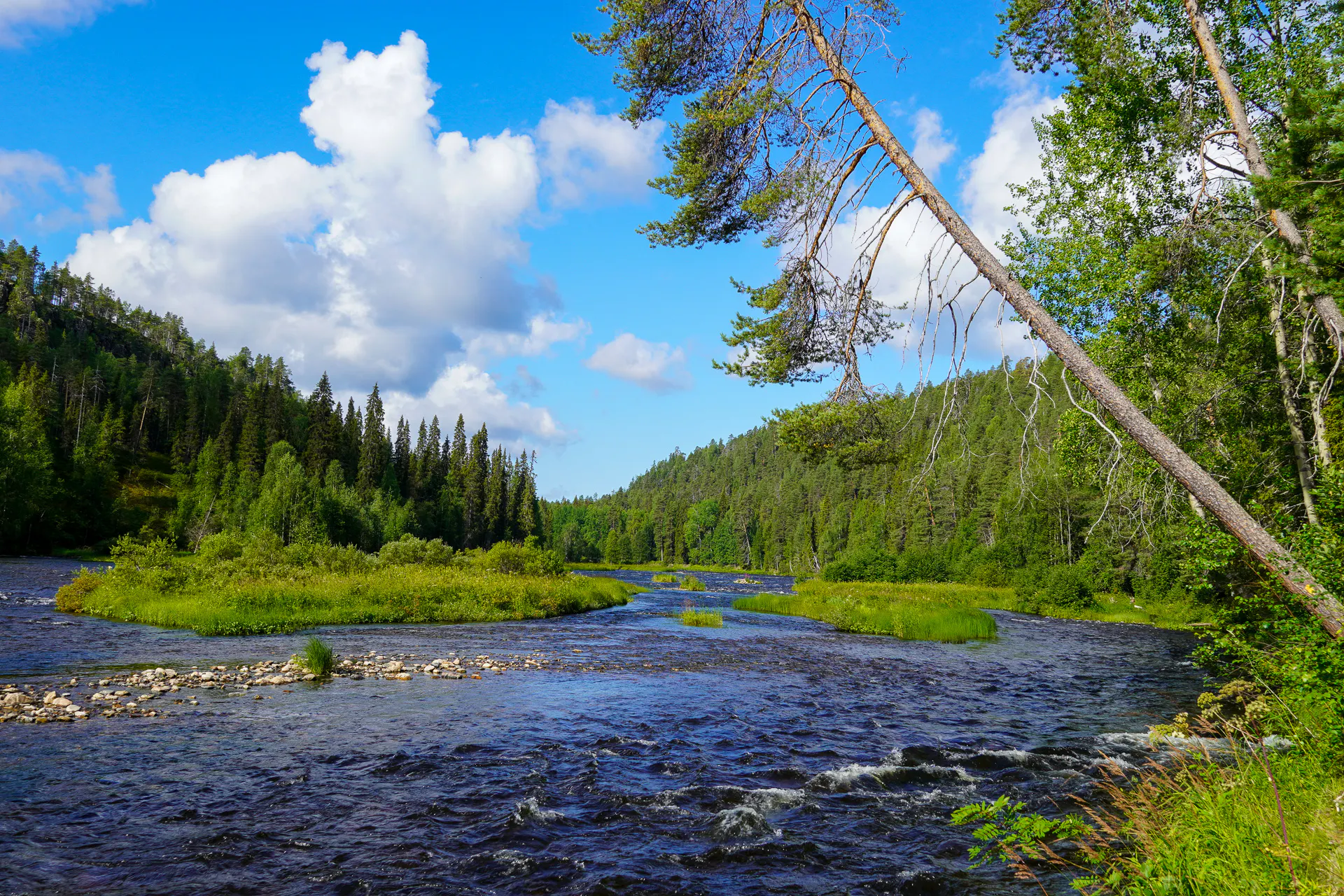 Kitkajoki river