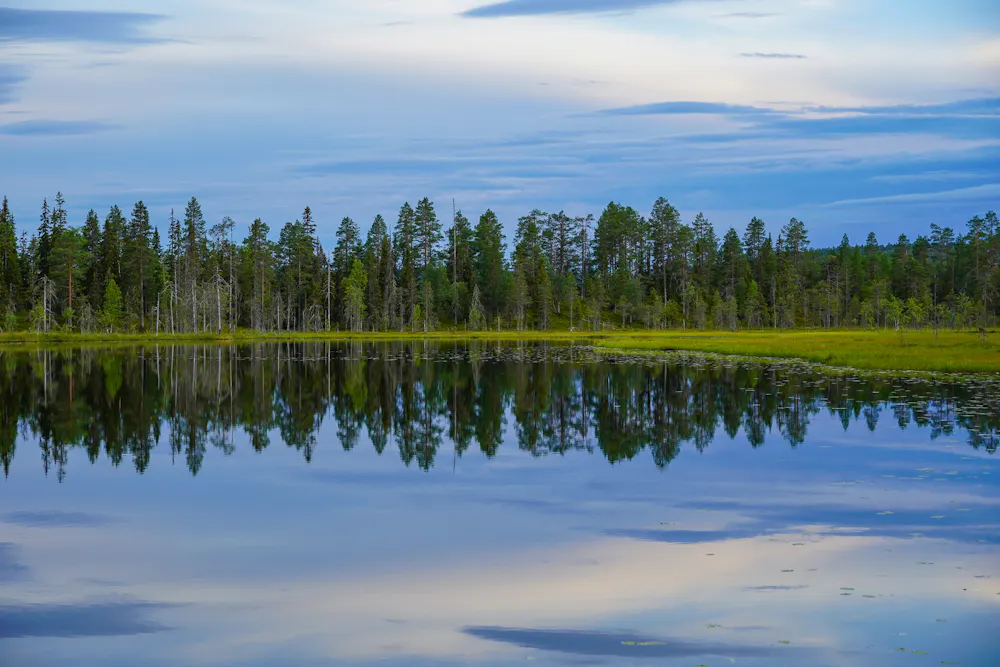 Lakes & Ponds