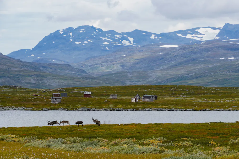 Sámi Heritage