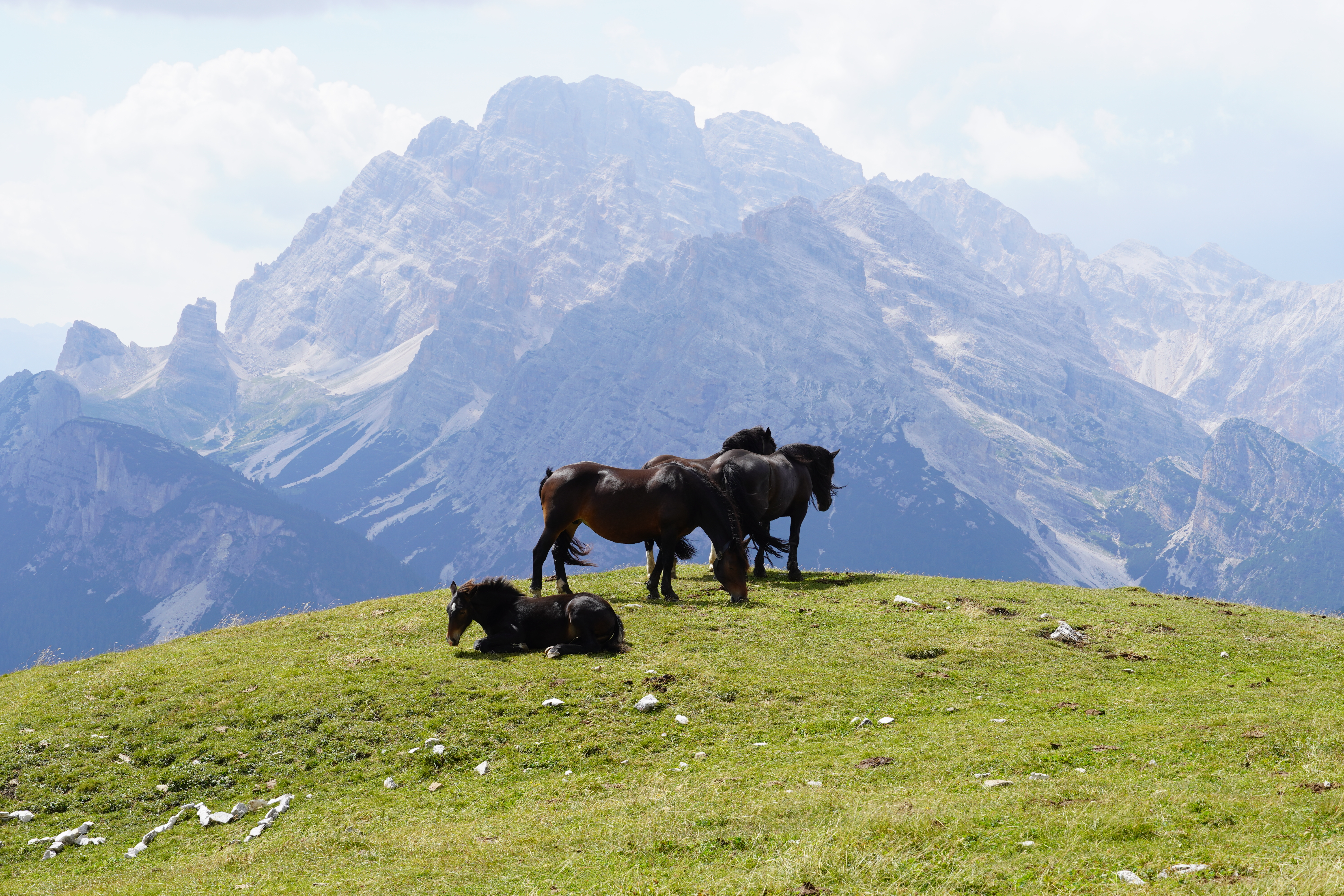 Viewpoint near Rifugio Auronzo