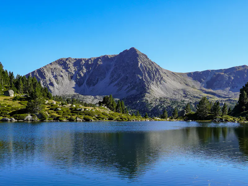 Pyrenees