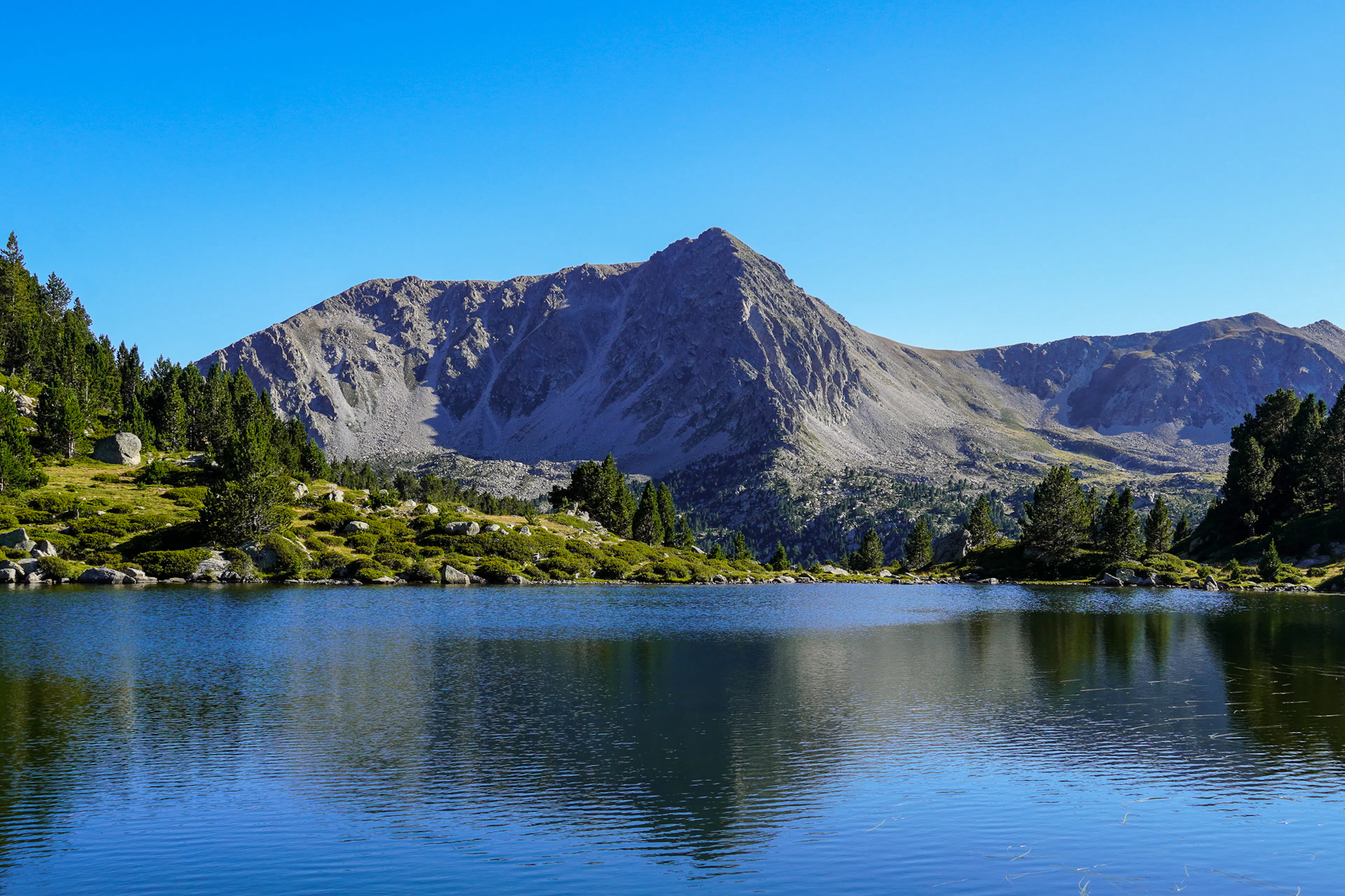 Pyrenees