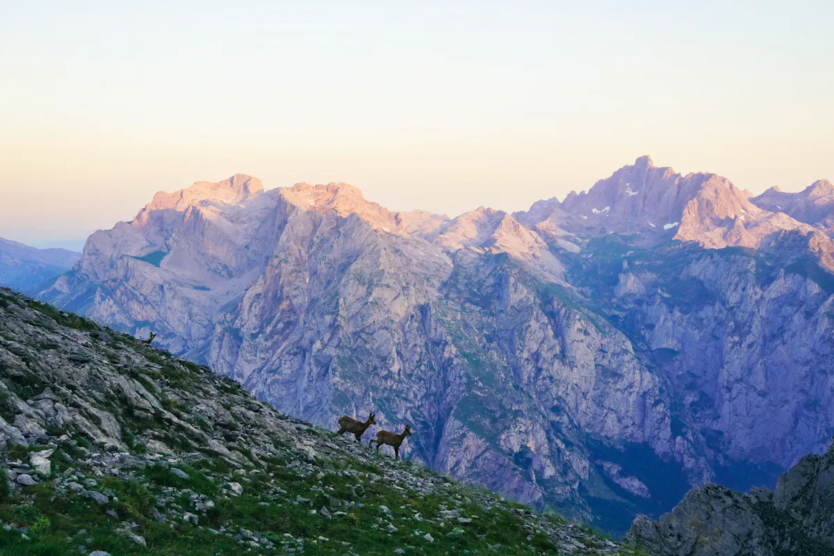 Anillo de Picos de Europa