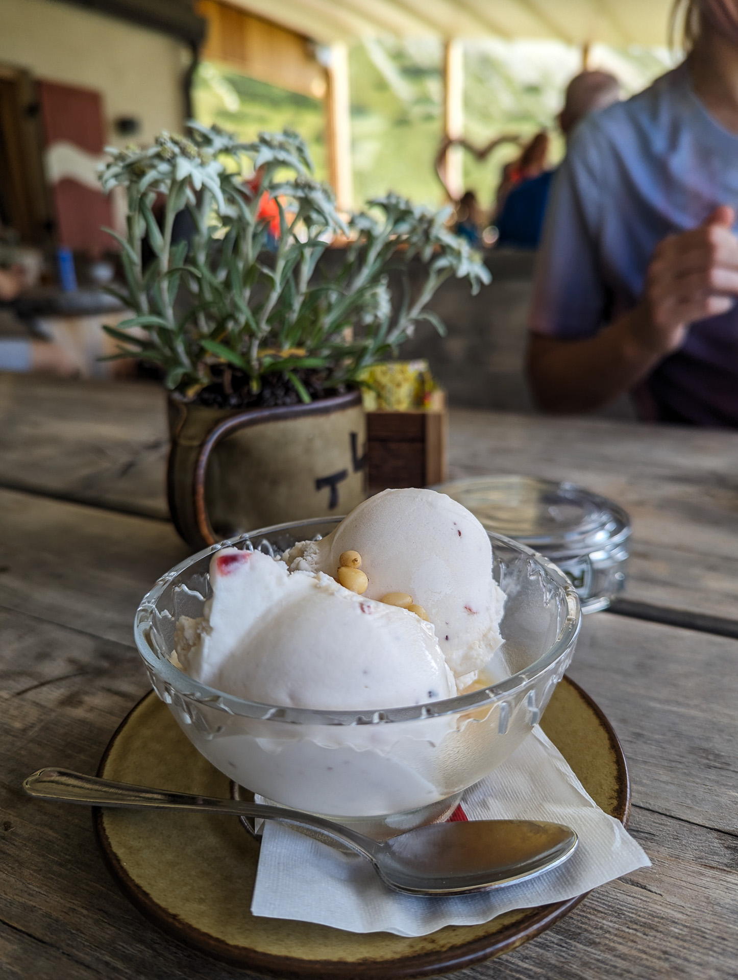 Homemade Ice cream at Sennes Hütte