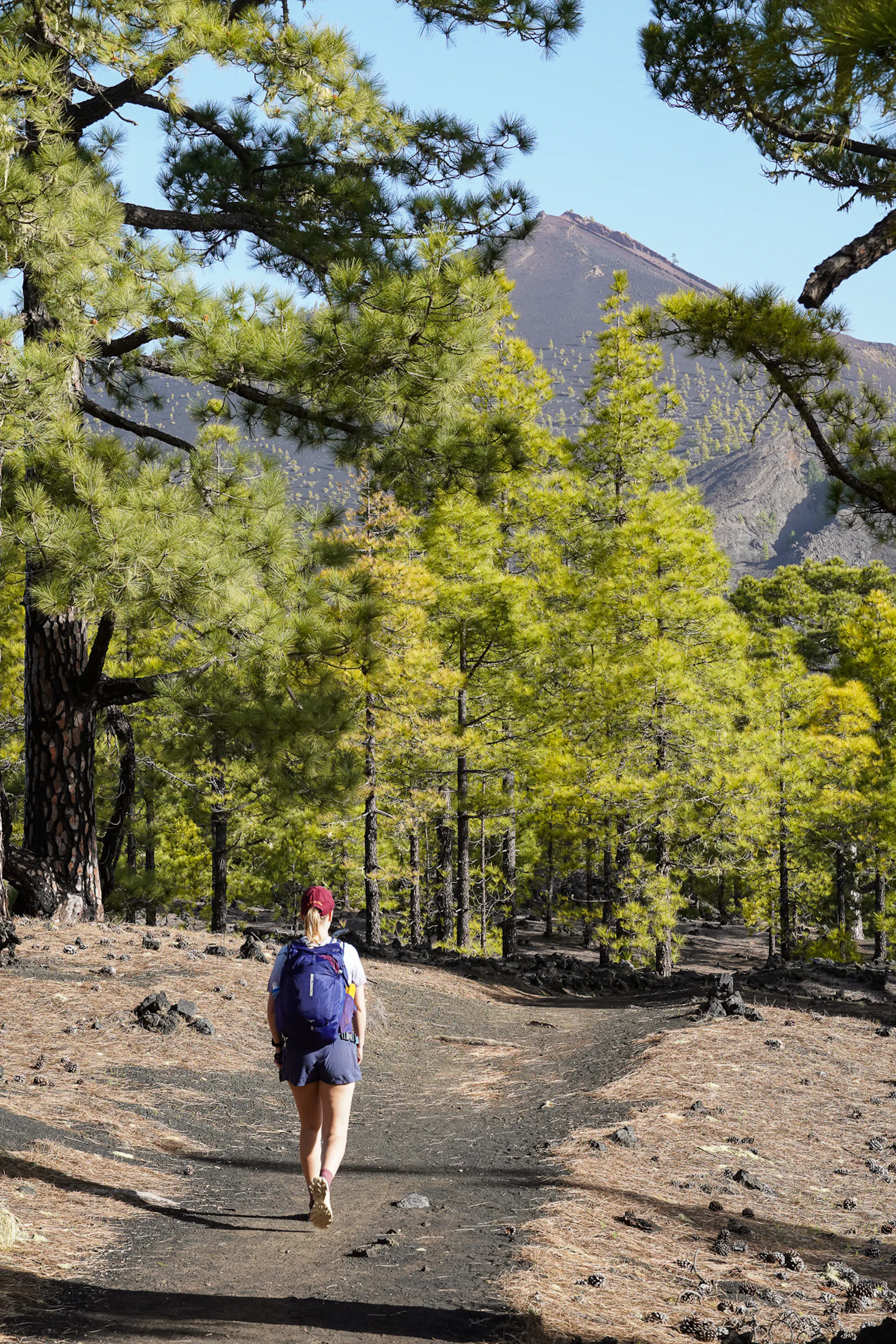 Ruta de los Volcanes, GR131, La Palma