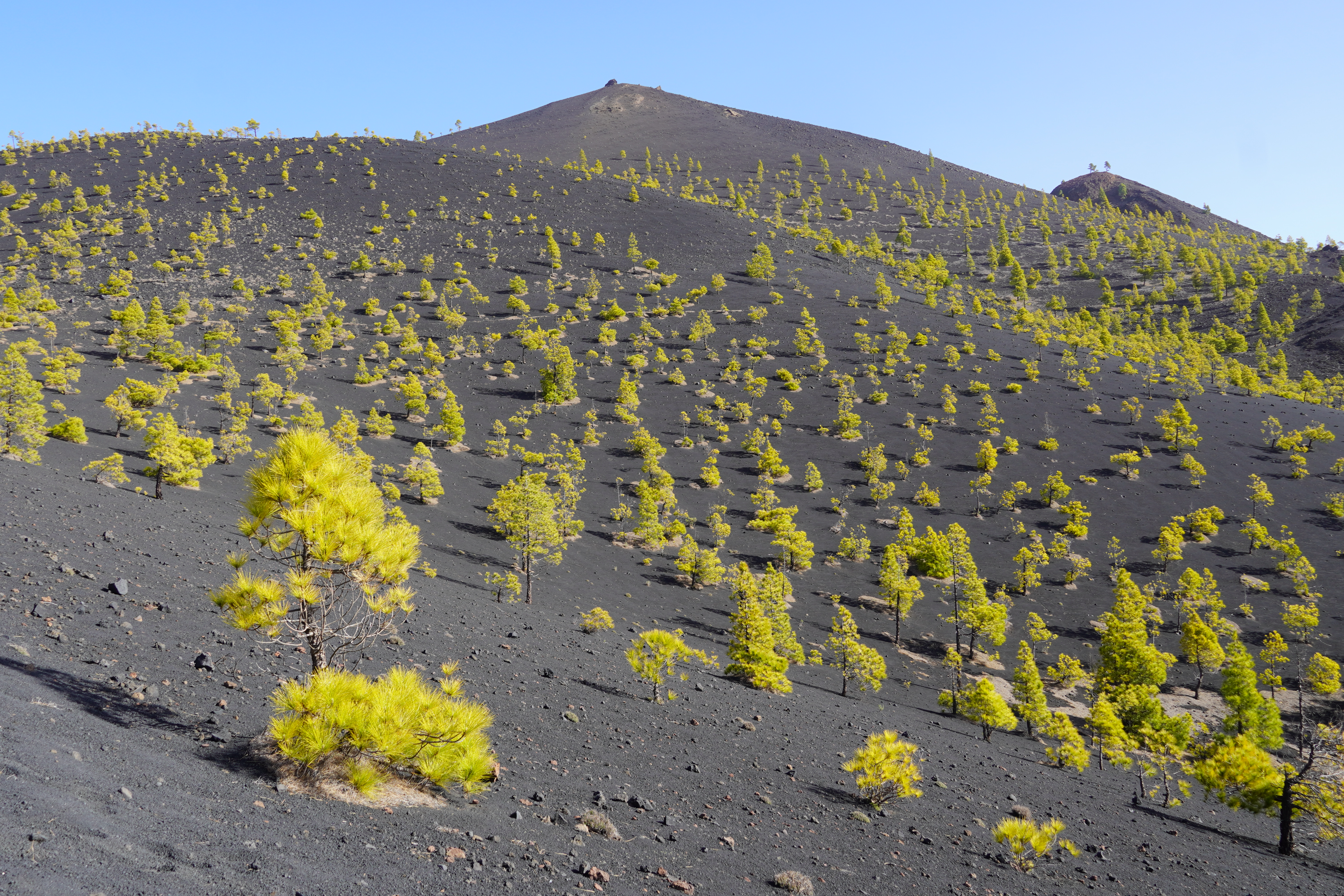 Ruta de los Volcanes, GR131, La Palma