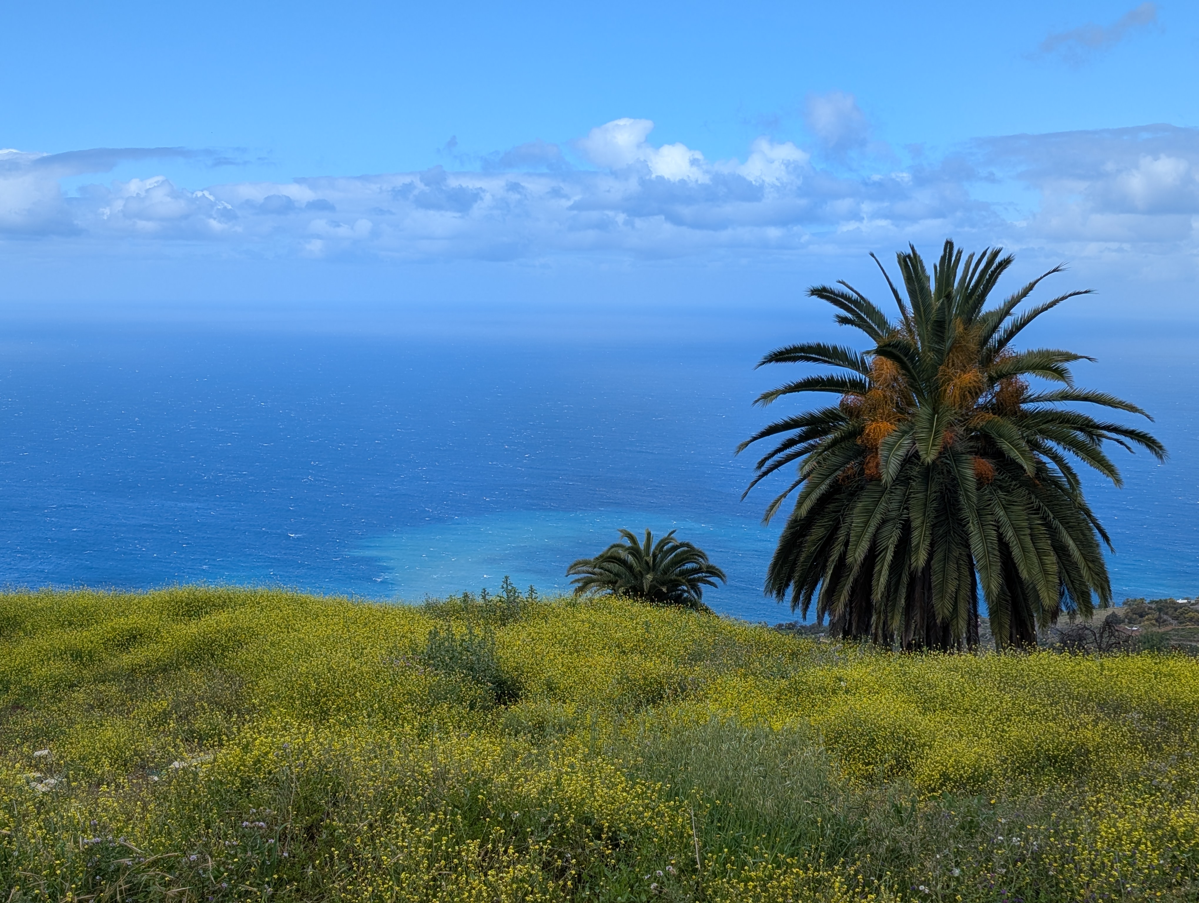 GR130, La Palma