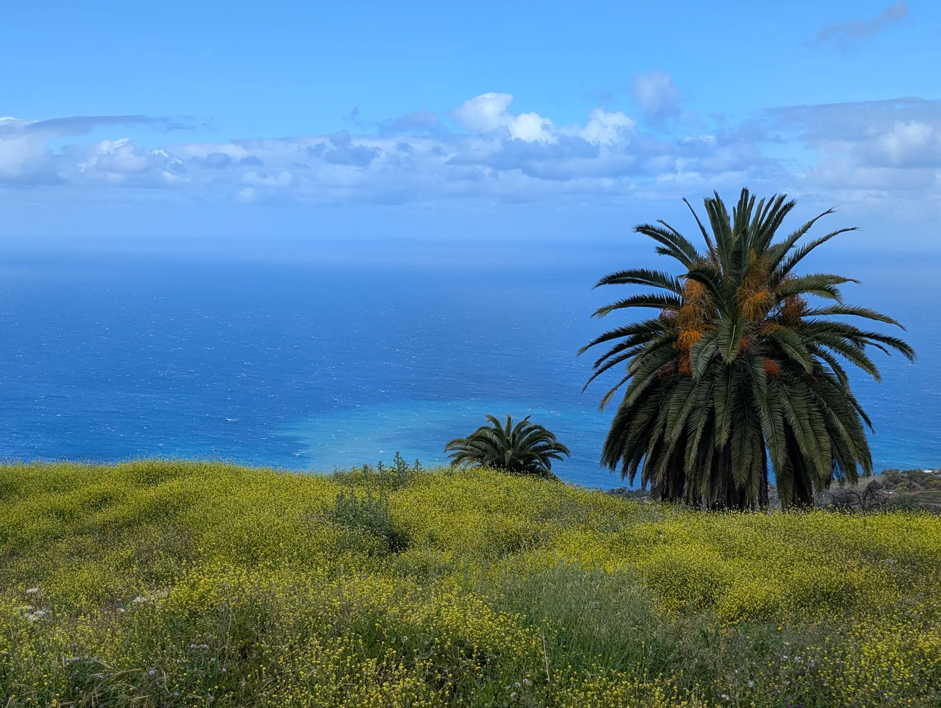 GR130, La Palma