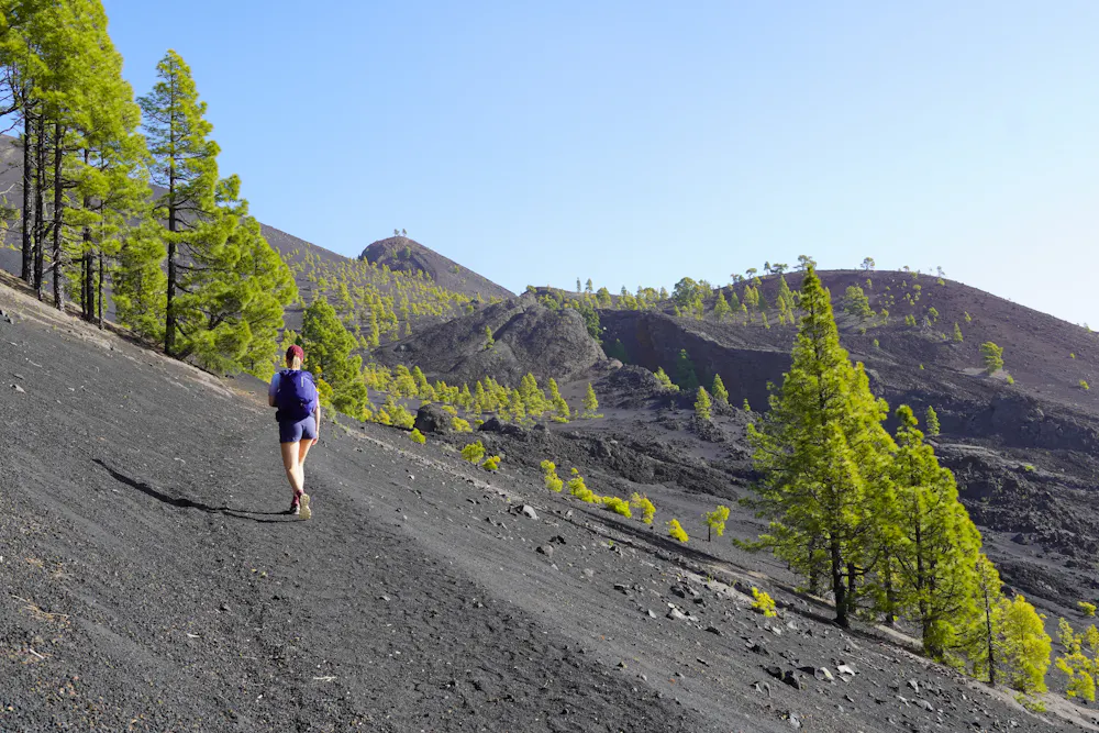 Ruta de los Volcanes