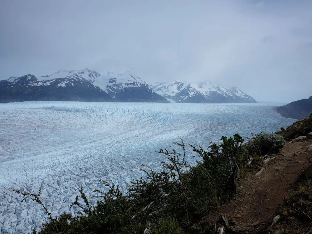 Grey Glacier